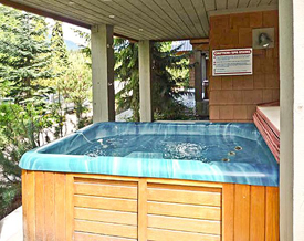 Glacier Reach Whistler Hot Tub