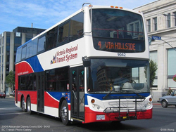 Victoria Bus